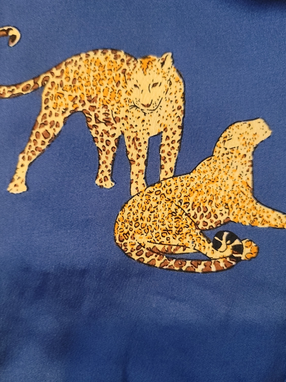 NWT UMGEE Royal Blue Sleeveless Mini Dress Leopard Print Women's Size 1X - Picture 6 of 9